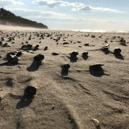 Porta Mare Апартаменты *